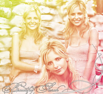 048.jpg